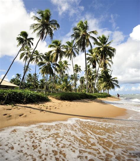 brazilian beach naked Search